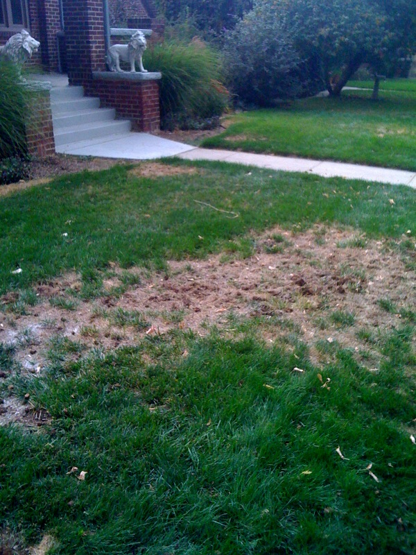 Example of Mite Damage