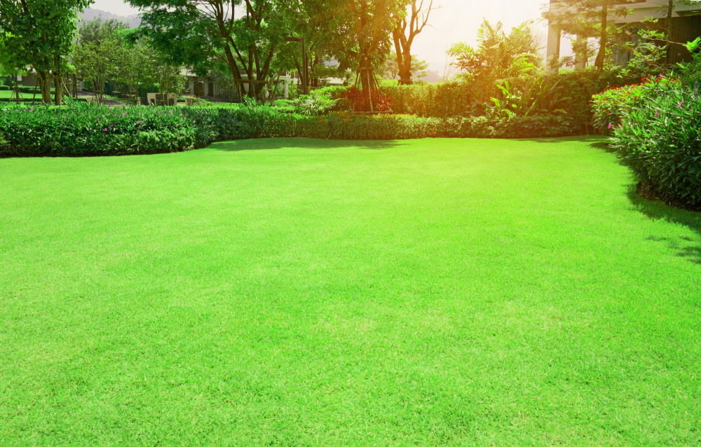 Green Grass