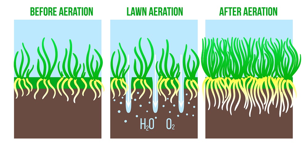Aeration Image
